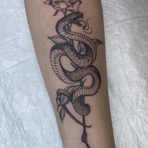 Татуировка в стиле тату графика змея и роза 