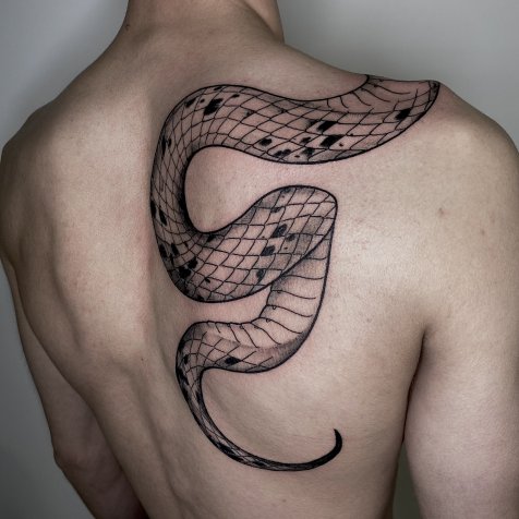 Татуировка в стиле тату графика змея