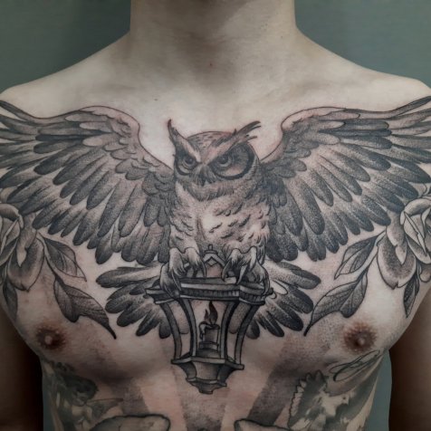 Татуировка в стиле тату графика сова на груди